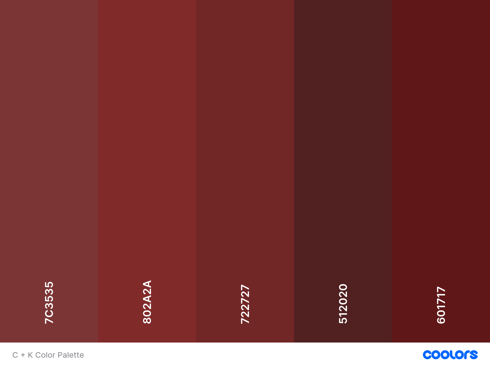 Color Palette